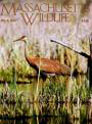 Massachusetts Wildlife Magazine Cover