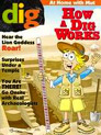 Dig Magazine